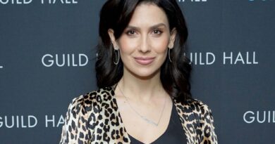 Hilaria Baldwin Bio Data Hilaria Baldwin